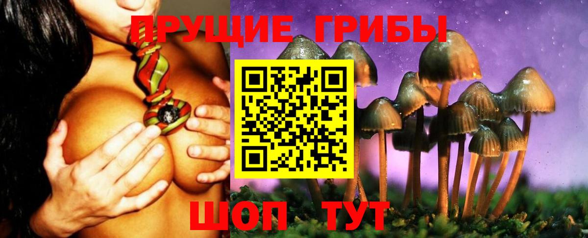 Галлюциногенные грибы GOLDEN TEACHER  Вход с VPN  Псилоцибиновые грибы Psilocybine cubensis  закладка  Сургут 